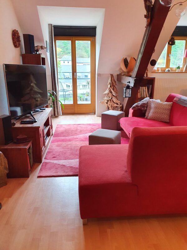 Pour investisseur , Appartement de 99.75 m2 Sainte-Croix-en-Plaine 0